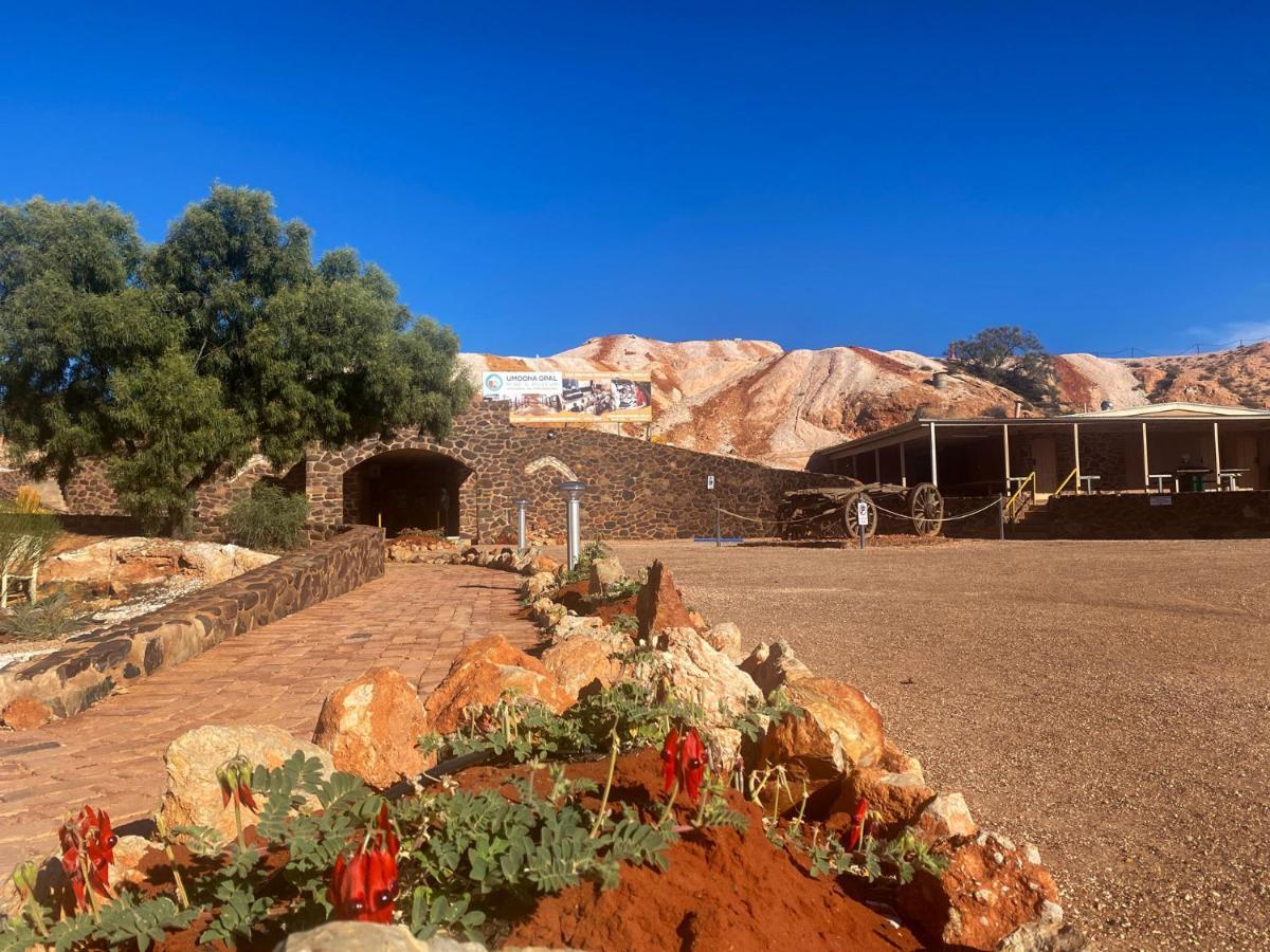 Ali'S Underground Studio Coober Pedy Exteriér fotografie